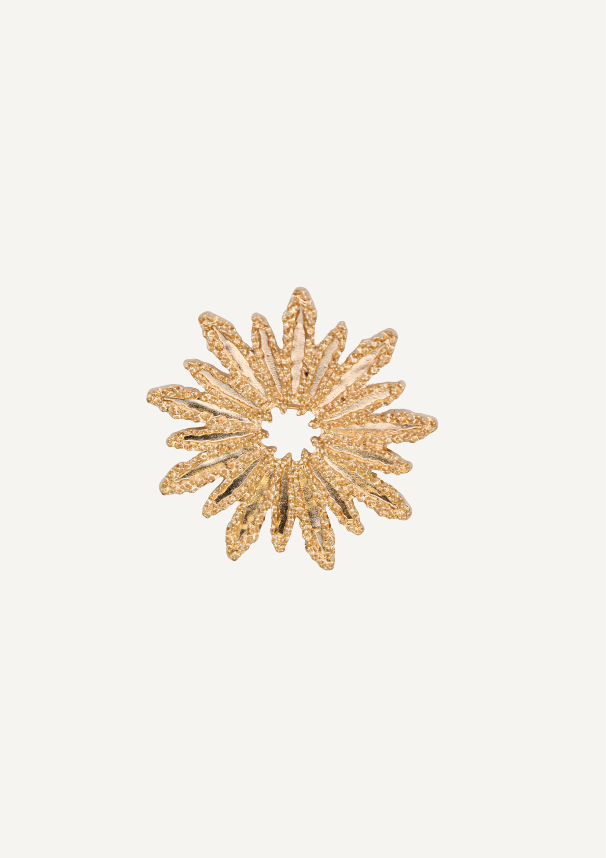 BROCHE LÉON