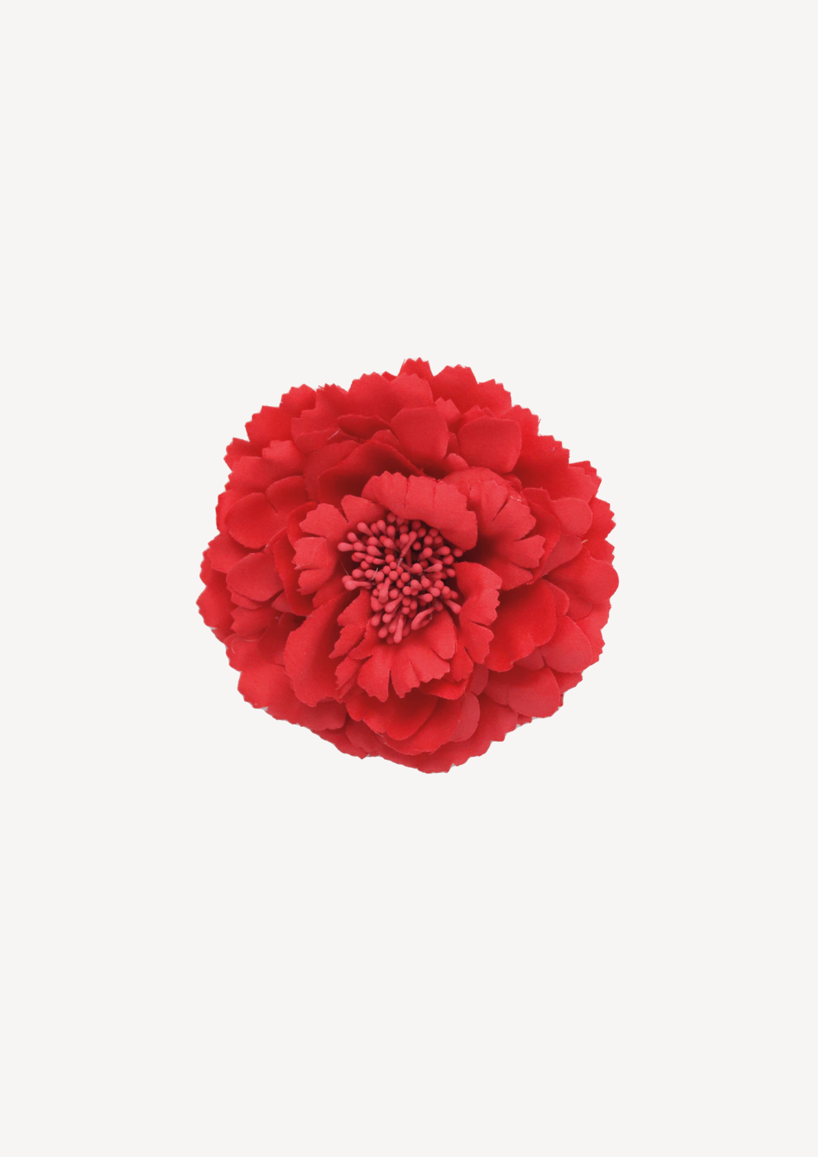 Broche Abel