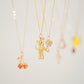 COLLIER PAUL