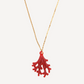 COLLIER CORAIL